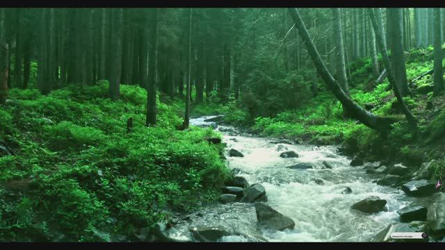 Сильная рукъя для уничтожения Джиннов живущих в голове и вызывающих головную боль ИНШААЛЛАХ!
