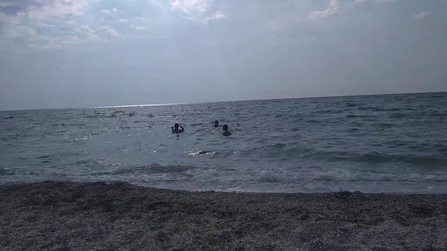 Бакальская коса.Северо-западный Крым.Вода в море как парное молоко :) смотреть онлайн