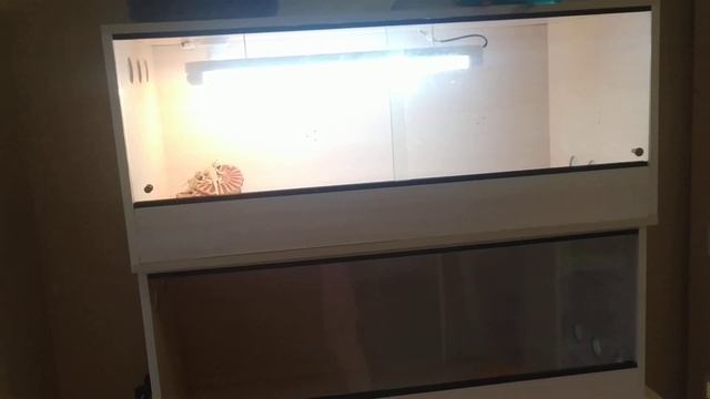 Ящерополис перезагрузка