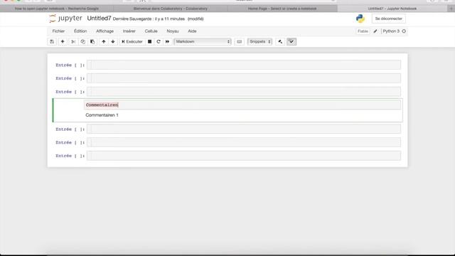 Python Machine Learning Tutorial [FR] - 3. Jupyter Notebook tutorial / présentation смотреть онлайн