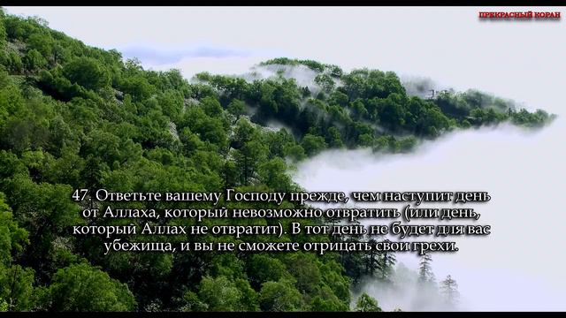 Мухаммад Люхайдан. Сура (Совет) "аш-Шура" (44-48) смотреть онлайн