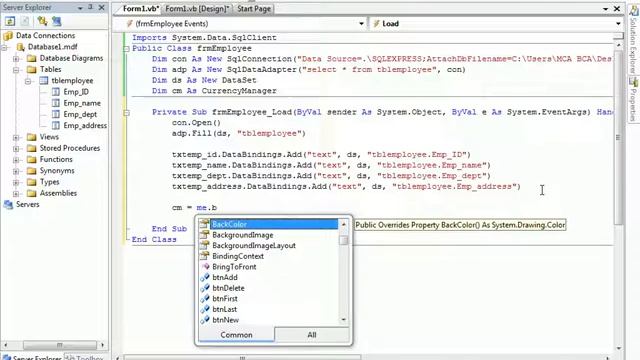 Employee Form Insert Update Delete with navigation Visual Basic 2010 VB смотреть онлайн