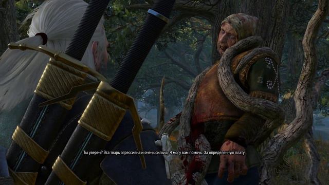 The Witcher 3: Wild Hunt часть 48. Кулаки ярости: Чемпион Чемпионов смотреть онлайн