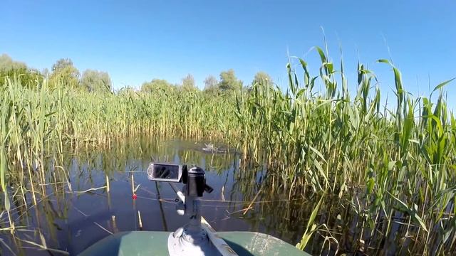 Ловля карася на WD - 40. Это просто БОМБА!!! смотреть онлайн