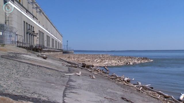 Новосибирская ГЭС проводит сброс брёвен, которые прибило к створам гидроэлектростанции смотреть онлайн