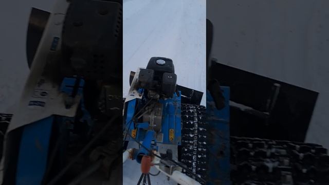 Везём дрова на мотоблоке! утянет ли? #техника смотреть онлайн