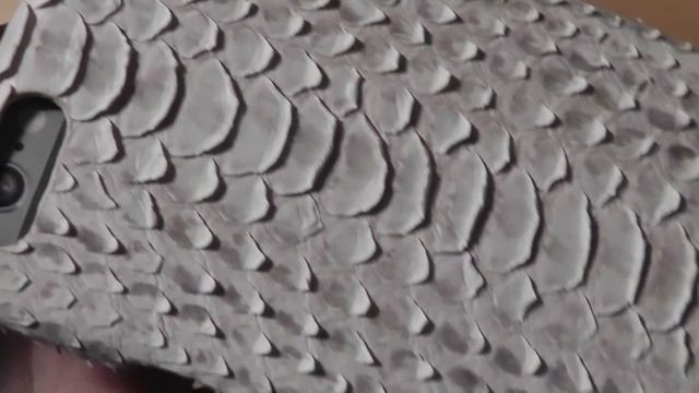 REVIEW: Beyzacases Exotic Python Leather iPhone 6 Case смотреть онлайн