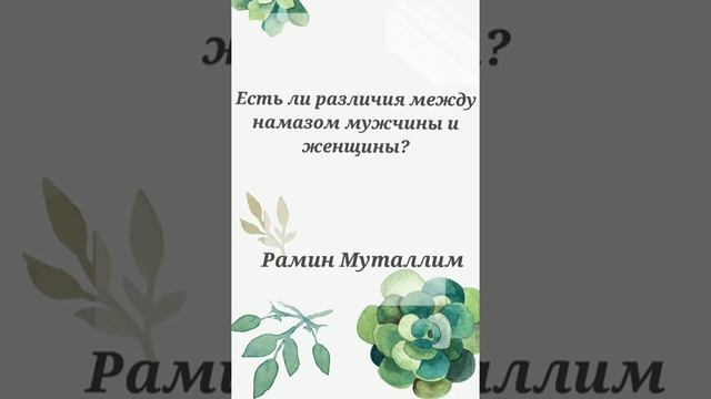 Есть ли различия между намазом мужчины и женщины? Рамин Муталлим смотреть онлайн