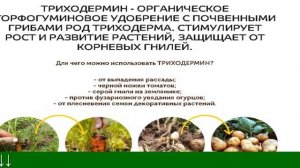 Триходермин Инструкция По Применению Для Растений