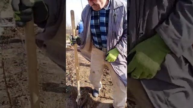 на даче спутник 2023 жезказган смотреть онлайн