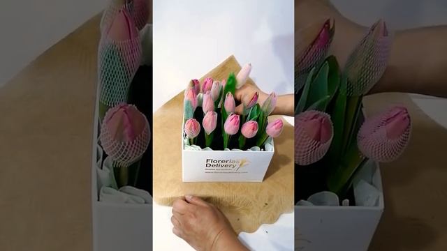 Preparación de un box de 20 Tulipanes 😍 смотреть онлайн