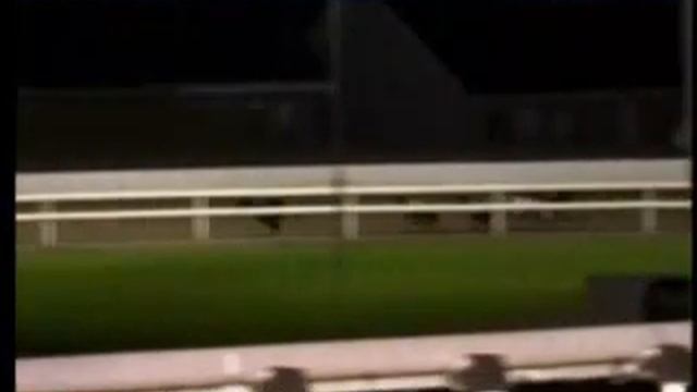 IGB - The Welcome To Waterford Greyhound Stadium 19/10/2019 Race 1 - Waterford смотреть онлайн