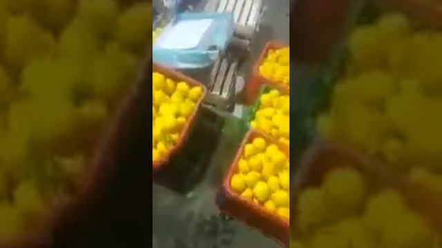 лимон Узбекистан оптом смотреть онлайн