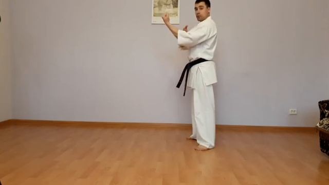 Секция каратэ Селятино. Тренировка №2 для 2 и 3 групп смотреть онлайн