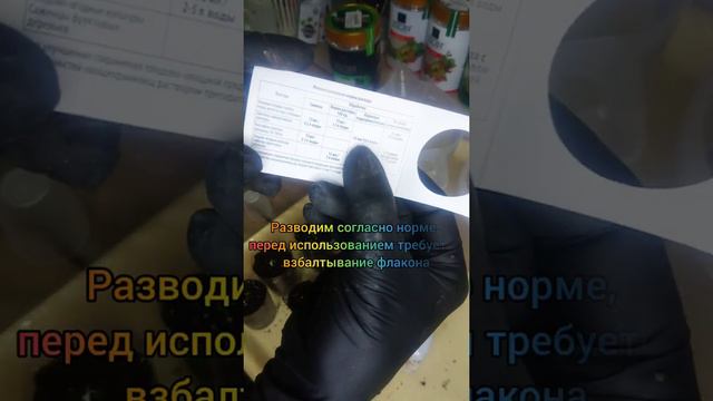 Гипестес: пикировка смотреть онлайн