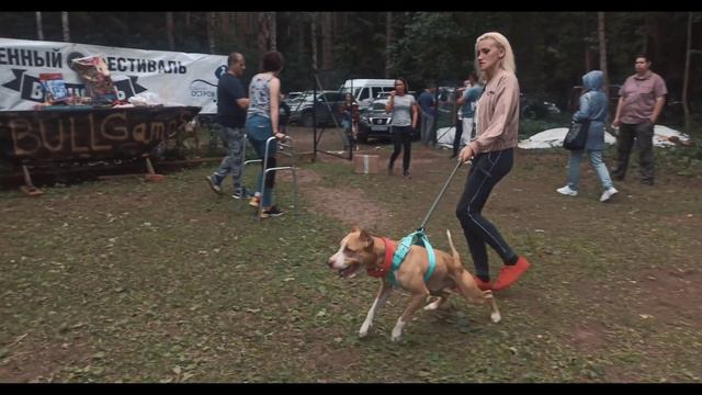 ПИТБУЛЬ/ДЯДЯ ПСИХ НА BULL GAMES 2020 смотреть онлайн