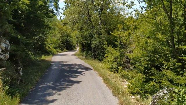 Перемена погоды на выходные,природа в лесу,прогулка смотреть онлайн