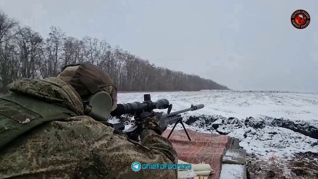 Кадры подготовки снайперов на полигонах в зоне СВО смотреть онлайн