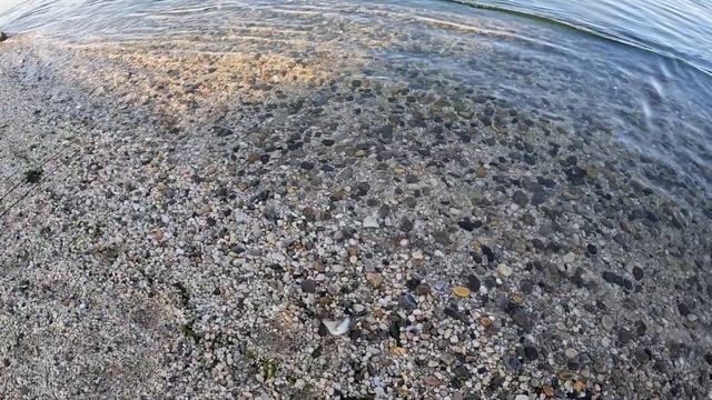 How to Catch Big Porgy (Scup) 5/27/23 Northshore Long Island смотреть онлайн