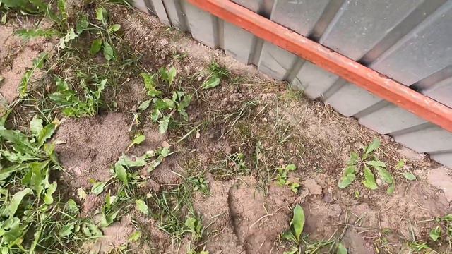 ВОЗНАГРАЖДЕНИЕ ЗА ГОЛОВУ.РАЗГОВОР С КРОТОМ КОРОТКИЙ смотреть онлайн