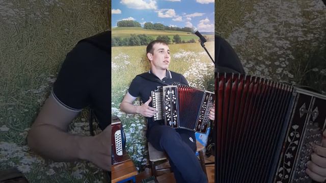 Барыня! На гармони мастера РЕКШИНСКОГО . смотреть онлайн