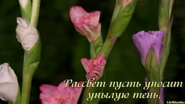 Красивая мелодия смотреть онлайн