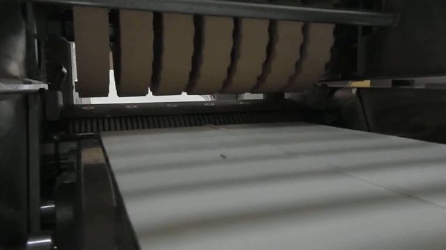 Weber ASB 600 Шкуросъемная машина Б/У ООО"СТЕПЛ", г.Мытищи смотреть онлайн