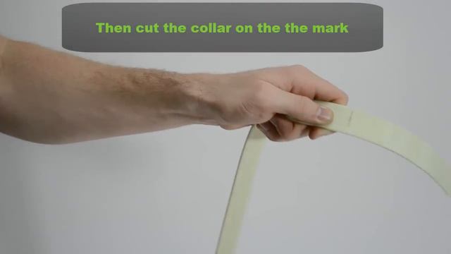 Furever Brite - Collar Fitting смотреть онлайн