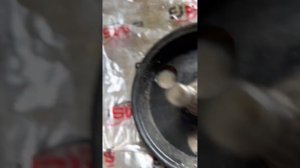 Замена подшипника на насосе гура Шевроле Лачетти хэтчбек