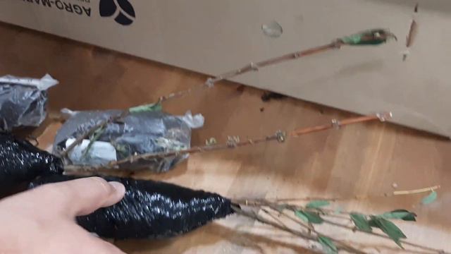 отзыв о заказе фирмы "Агро Маркет" смотреть онлайн