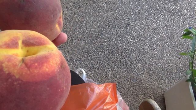 ЧТО, ГДЕ и ПОЧЕМУ? Отвечаю. Израиль.