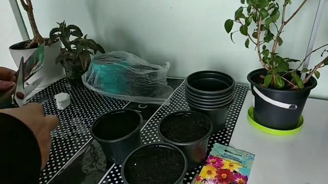 опять огород,сею баклажаны,георгины, огурцы,... смотреть онлайн