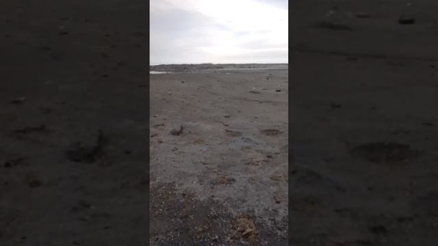 На берегу Каспийского моря! Пробую воду на вкус.