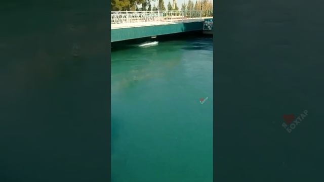 За городом (Бохтар) смотреть онлайн