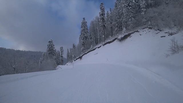 «Роза Хутор» южный склон зеленая трасса «Явор» 24.01.2020 смотреть онлайн