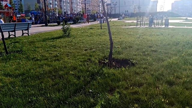 Проспект Героев Отечества Саратов смотреть онлайн