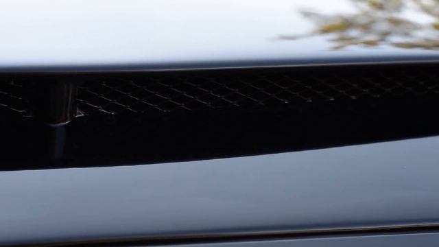 2015-2017 Ford Mustang Black Mamba Hood by BMC Extreme Customs смотреть онлайн