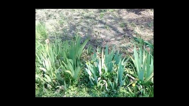 Краснодар ранней весной /апрель/ смотреть онлайн