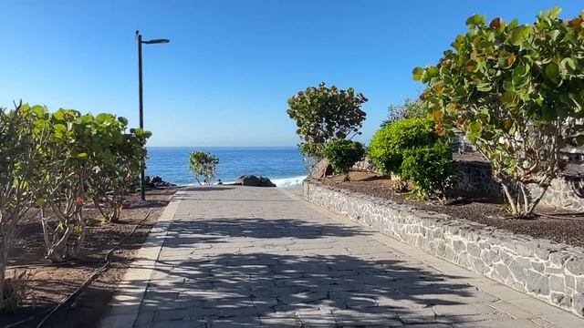 Вот она, канарская картошечка папас арругадас с соусами мохо! ? И итальянское мороженое.