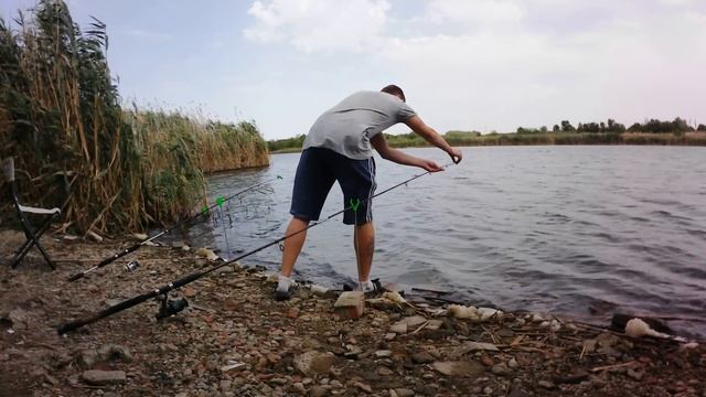 Рыбалка на донки на новом месте смотреть онлайн