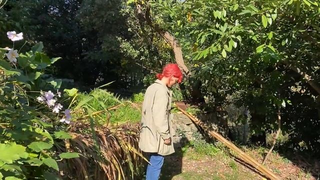 Fransa Vlogu ve Bonus Vegan Kış Bal Kabağı Çorbası Tarifi! смотреть онлайн