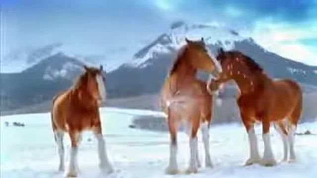 ПРИКОЛ !!!! 2016 ЛОШАДИ смотреть онлайн
