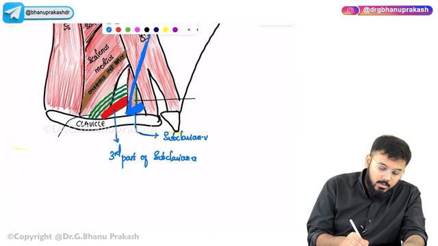 Head and Neck Anatomy Final Aid ( High yield topics Covered for Exam orientation) 🧠✨ USMLE Step 1 смотреть онлайн