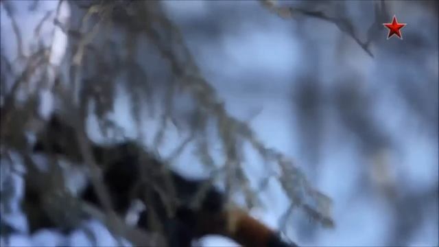 Макс Корж Армия смотреть онлайн