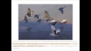 Материал к урокам ИЗО по теме: "Ритм линий"