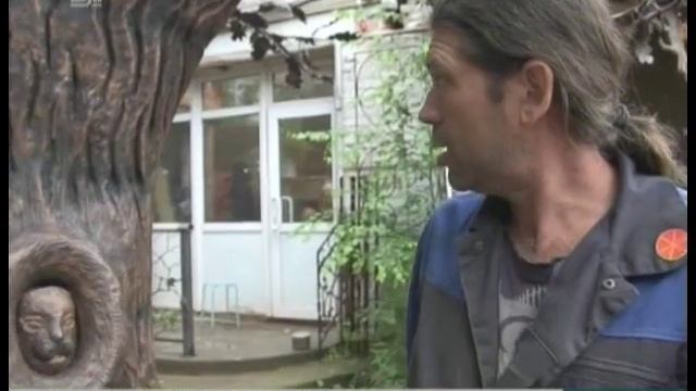 Уникальный дуб высотой в пять метров и весом 2 тонны появится в Златоусте смотреть онлайн