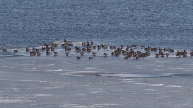2023/03 – Информирует ГИМС смотреть онлайн