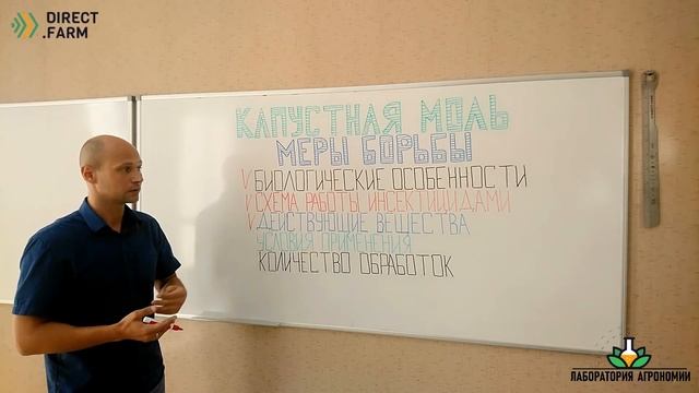 Капустная моль (меры борьбы) смотреть онлайн