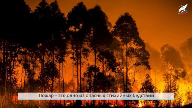 Домашние опасности. Пожар! смотреть онлайн