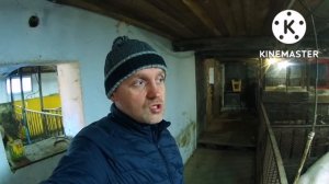 ‼️Сколько вкладываю и зарабатываю с одной откормочном свиньи с рождения до забоя ‼️
